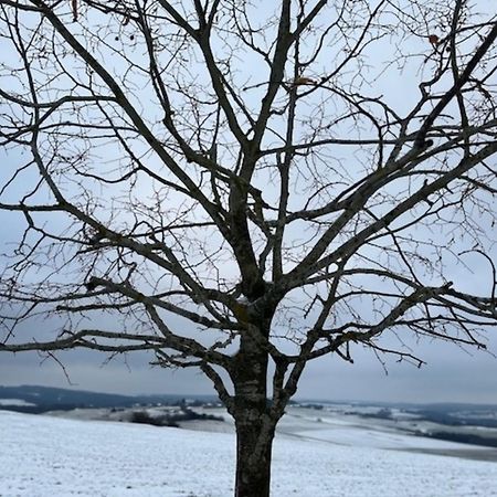 ヴェルスホーフェン Eifel-Bau-Traum Schlichヴィラ エクステリア 写真